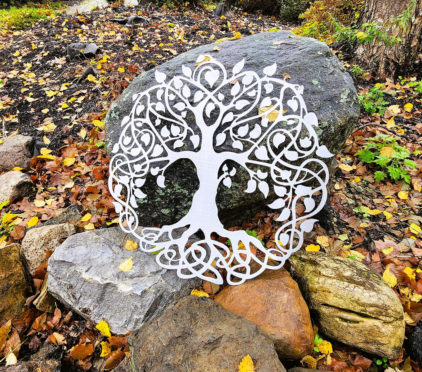 Tree of Life Curly