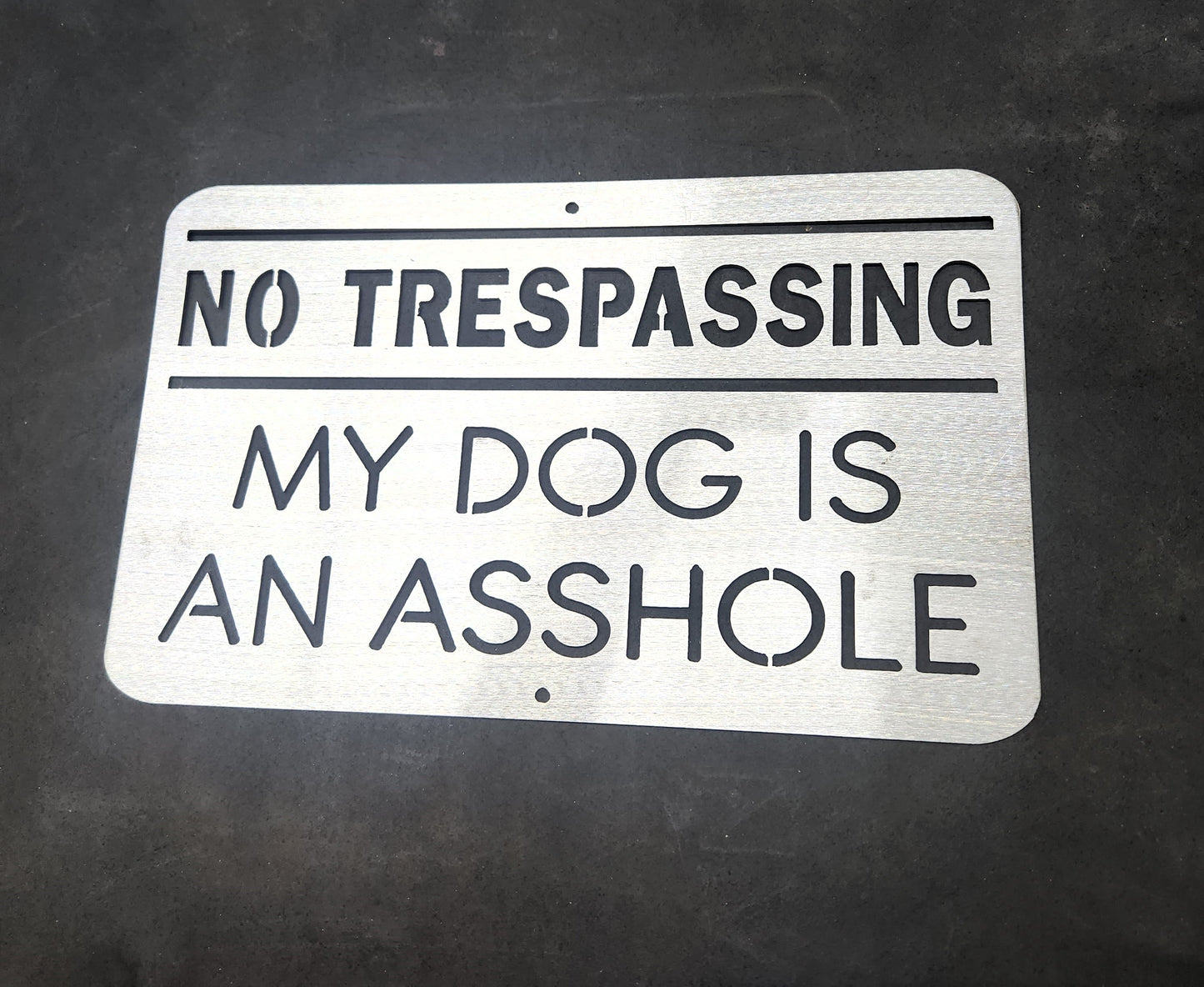 No Trespassing My Dog is an Asshole Funny Sign