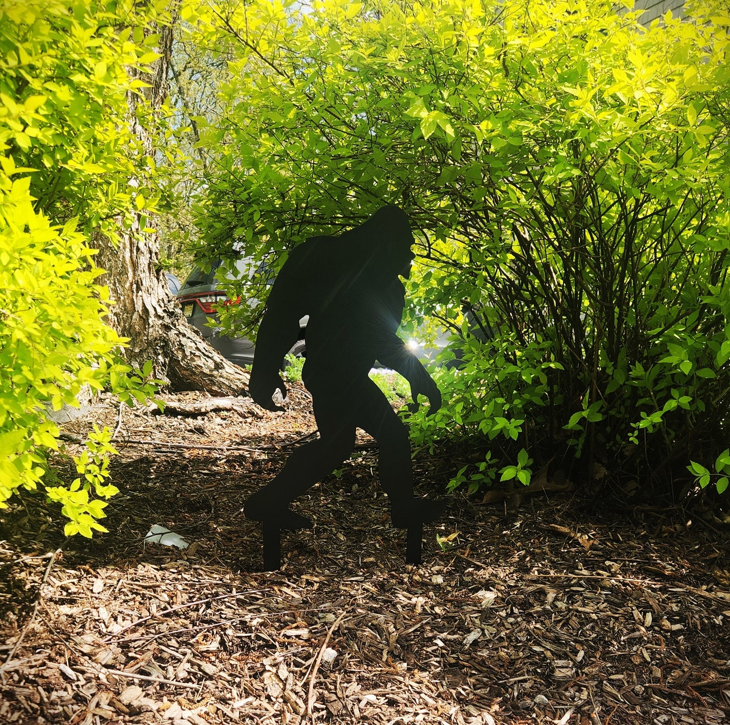 Bigfoot Stakes