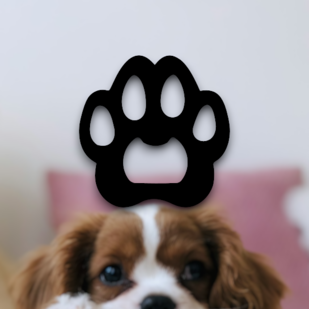 Dog, cat, pet paw print bottle opener