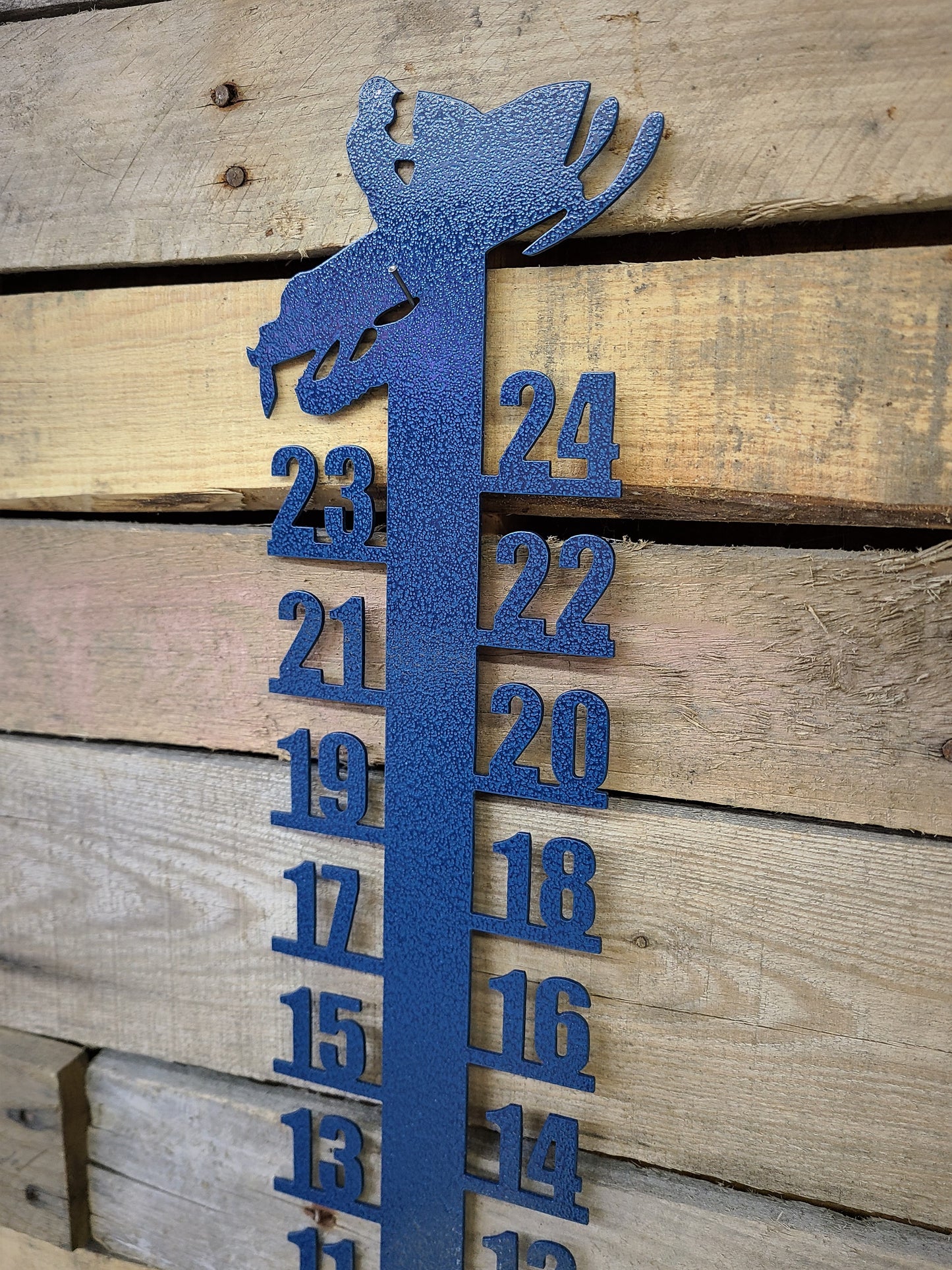 Snow Rulers