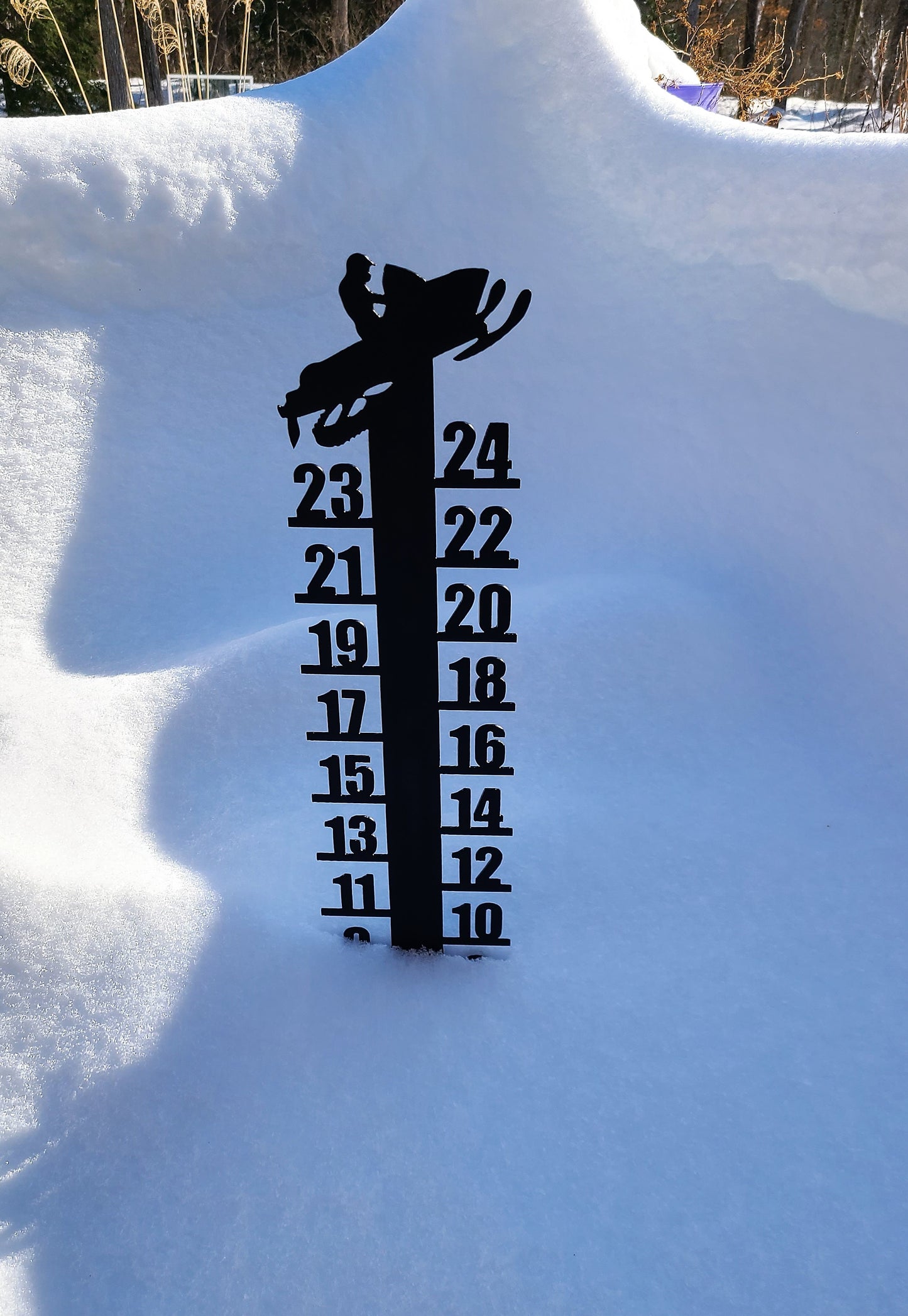 Snow Rulers
