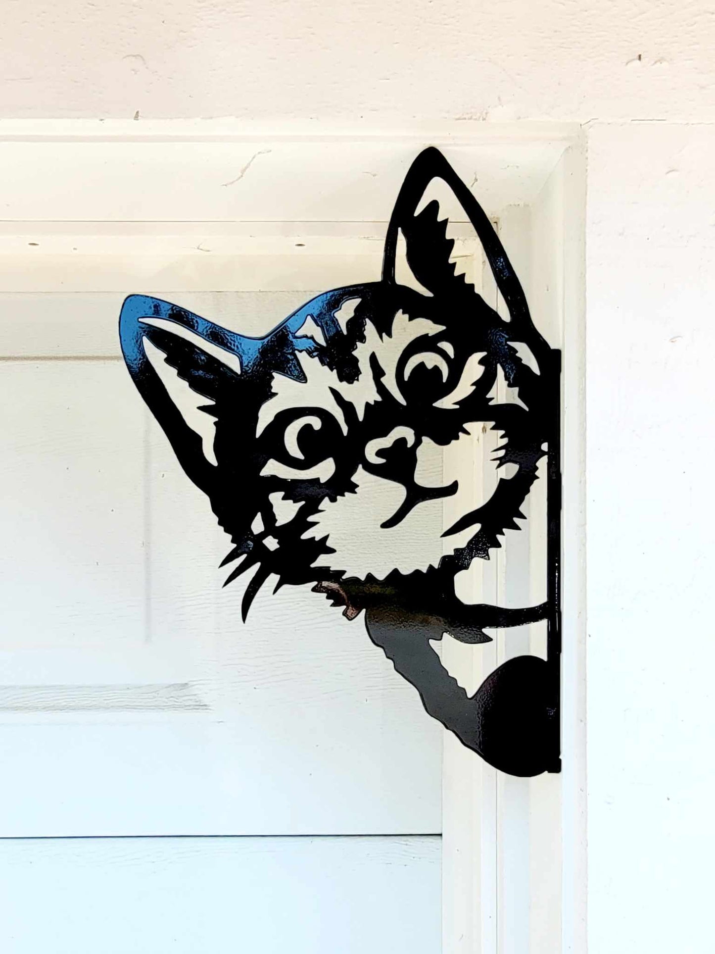Peeking Cat