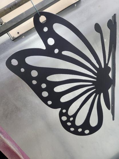 Peeking Butterfly