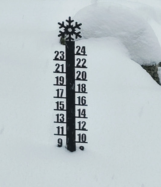 No Snow Ruler Texas Holidays & Seasonal – Elite Metal Design LLC
