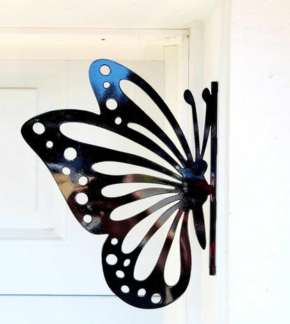 Peeking Butterfly